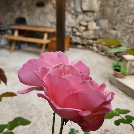 Tatil Evi Maison En Pierre Chez Sorel