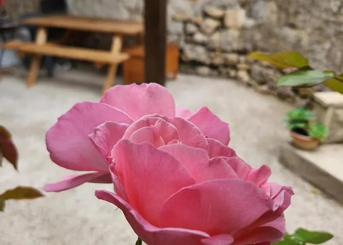 別荘 Maison En Pierre Chez Sorel